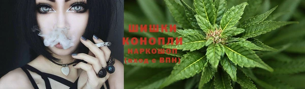 прущие крисы Аркадак